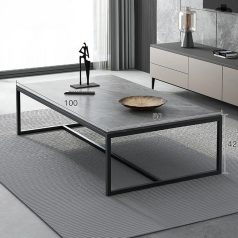 Dohányzóasztal 100x50x42 cm szürke FUR1816-1