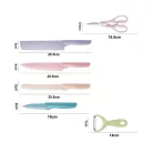 6 db-os színes konyhai késkészlet KS03